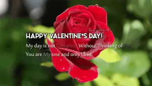 Valentine Day Wishes, Messages, And Quotes For Girlfriend & Boyfriend