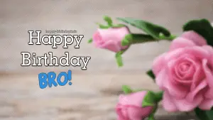 Happy Birthday Wishes For Brother