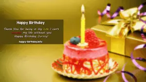 Happy Birthday Wishes For Wife 