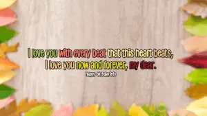 I Love You Wishes 