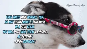 100+ Funny Birthday Wishes
