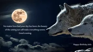 Good Evening Wishes