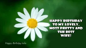 Happy Birthday Wishes For Wife